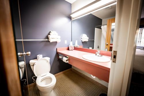 a bathroom with a toilet and a sink and a mirror at Manistee Inn & Marina in Manistee