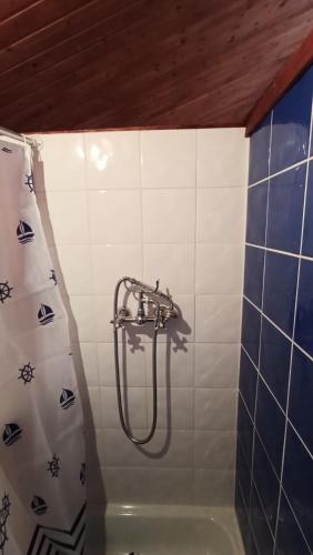 a shower in a bathroom with a shower curtain at Orion Guesthouse Telhado in Fundão
