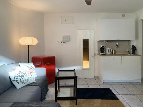 Comodo pied-à-terre ad Ascona