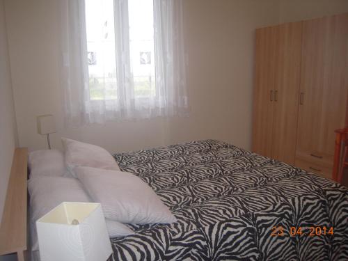 a bedroom with a zebra print bed with a window at Bed and Breakfast Elisa in Sonnino