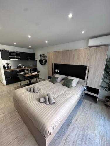 Superbe Studio avec balcon Rue d’Antibes