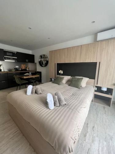 Superbe Studio avec balcon Rue d’Antibes