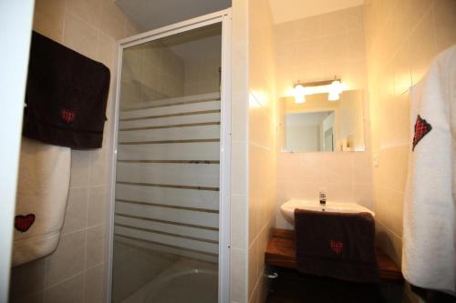a small bathroom with a shower and a sink at Les Chalets D'adrien - Pièces 64 in Valloire