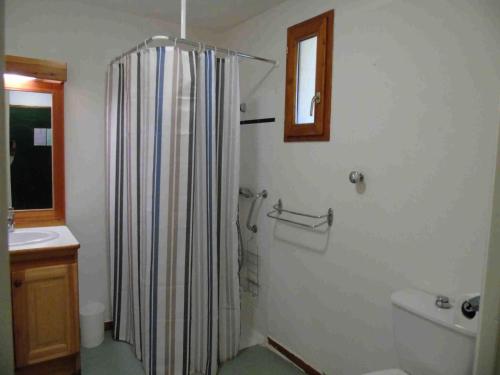 une salle de bain avec un rideau de douche et un lavabo dans l'établissement Chalet Arrondaz - 2 Pièces pour 4 Personnes MAE-8614, à Modane