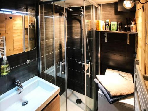 une salle de bain avec douche et lavabo dans l'établissement Résidence Rochechateau - Studio cabine + mezzanine 4 personnes 2 exposé Ouest MAE-4244, à Valloire