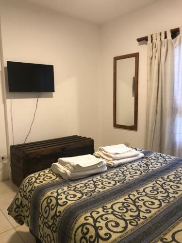 1 dormitorio con 2 camas, espejo y TV en Vivi Tigre Apart en Tigre