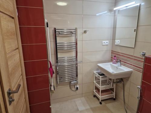 ein Bad mit einem Waschbecken und einem Spiegel in der Unterkunft Mandala in Jáchymov