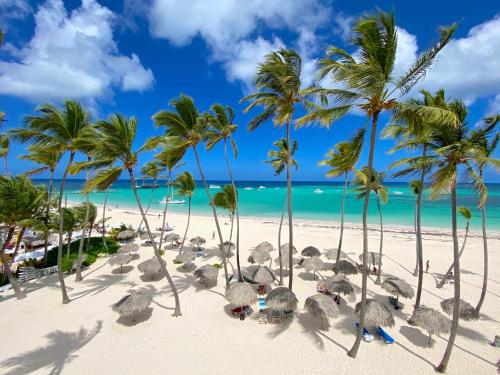 a group of palm trees on a beach with the ocean at SOL CARIBE del MAR Hotel Deluxe rooms BAVARO Los Corales Beach POOL & SPA in Punta Cana