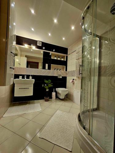 a bathroom with a shower and a toilet and a sink at Apartament Singera in Biłgoraj