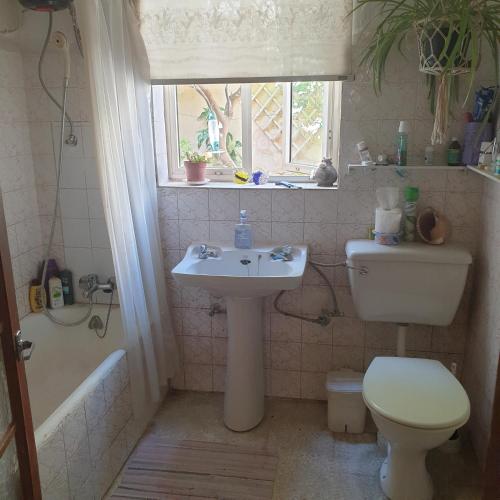 a bathroom with a toilet and a sink and a window at 1, 2 or 3 Bed Rooms - Malta Central Location, Very near Sea and Tourism hub in Msida