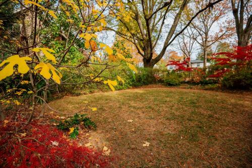a garden with autumn leaves on the ground at The Cinderella House in Greensboro