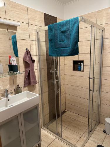 bagno con doccia e lavandino di Apartmán LOSONCI Nesvady- pre 2 osoby štúdio a Nesvady