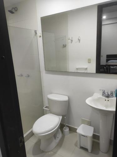 łazienka z toaletą, umywalką i lustrem w obiekcie Apartamento tipo Loft, Edificio Platino w mieście Rodadero