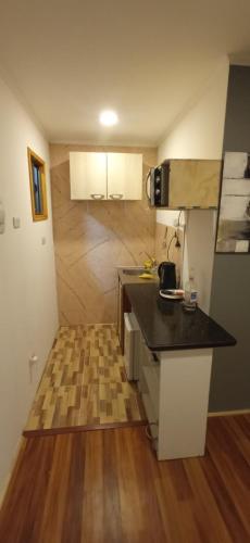 eine kleine Küche mit einer Theke und einer Arbeitsplatte in der Unterkunft casona Miraflores in Santiago