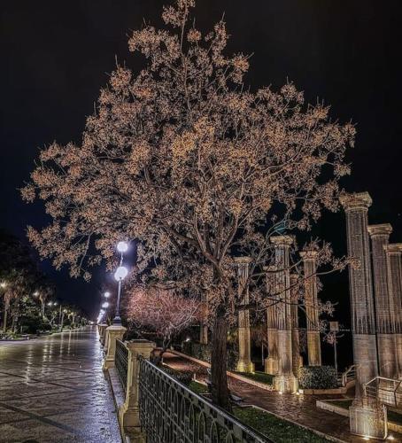 Fotografie z fotogalerie ubytování B&b AmMarí. Appartamento - Bilocale. v destinaci Gallico