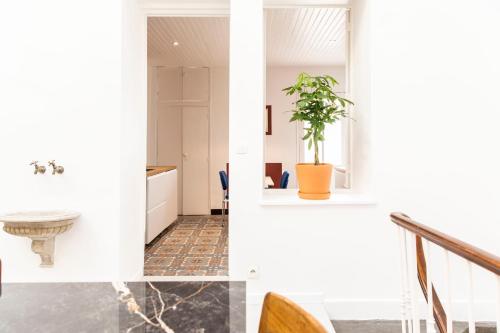 une maison avec des murs blancs et une plante sur un escalier dans l'établissement Le Jardin d'Hiver Saint Victor, à Marseille