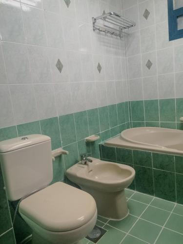 ein Bad mit einem WC und einem Waschbecken in der Unterkunft Roomstay Abu Dhabi in Abu Dhabi