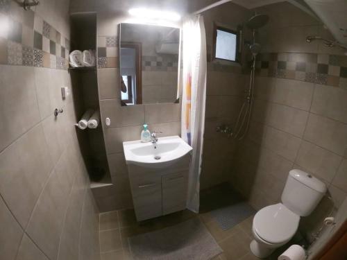a bathroom with a toilet and a sink and a shower at Hara's Apartments in Prinos