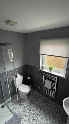 a bathroom with a toilet and a sink at Ramblers Rest Modern Cottage-Perfect Views of Ben Nevis in Fort William