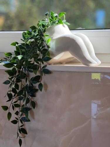 a plant sitting on a window sill next to a white sculpture at Saaremaa majake mere ääres in Torgu