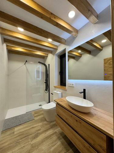 a bathroom with a sink and a shower and a toilet at El Gallinero de Tiago in Lebena