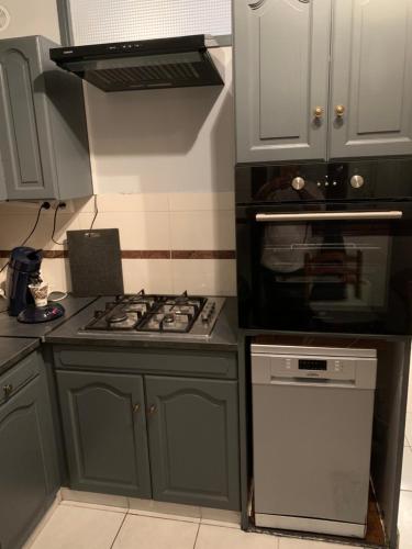 une cuisine avec des armoires vertes et une cuisinière four supérieur dans l'établissement Chaleureux logement familial jusqu'à 6 personnes, à Annemasse