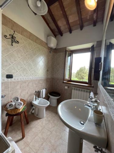 a bathroom with a sink and a toilet at La Casa di Gelsomino in Massa Martana