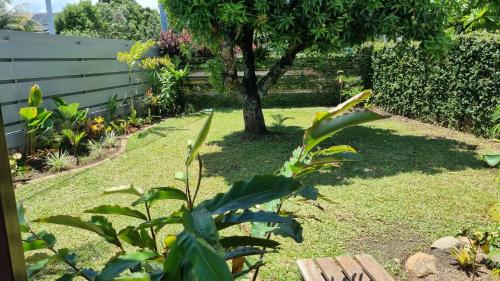 a garden with a tree and a wooden bench at Raahere Lodge - near the city center in Papeete