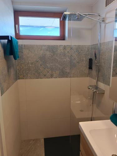 a bathroom with a shower and a sink at 1 Zimmer Appartement nahe Gmunden Top2 in Pinsdorf