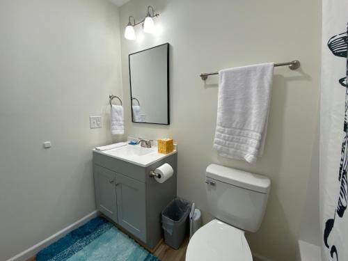 a bathroom with a sink and a toilet and a mirror at Talkeetna Bush Pilot House in Talkeetna