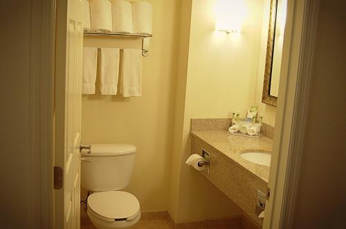 a bathroom with a toilet and a sink at Holiday Inn Express DeFuniak Springs, an IHG Hotel in DeFuniak Springs
