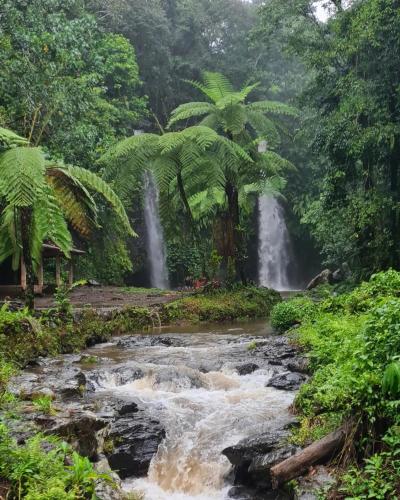 a waterfall in the middle of a stream in a forest at Jonny's Places in Tetebatu