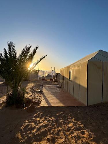 a tent and a palm tree in the desert at Erg Chebbi Sahara Camp in Merzouga