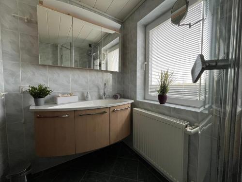 baño con lavabo, espejo y ventana en Ferienhaus in zentraler Lage zwischen Goitzsche und Wörlitz, en Steinfurth