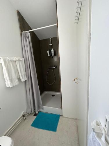y baño con ducha y alfombra azul. en Hlíðarás Guesthouse en Ölfus
