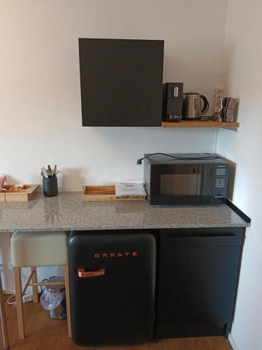 a kitchen with a counter with a microwave and a counter top at 1 Zimmer Appartement nahe Gmunden Top2 in Pinsdorf