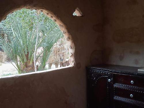 siwa gardenia cottage في سيوة: نافذة في غرفة بها نخلة في الخارج