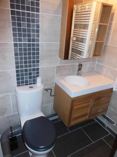 une salle de bain avec toilettes, lavabo et miroir dans l'établissement Chalet Fleur De Neige - 2 Pièces pour 4 Personnes MAE-3342, à Champagny-en-Vanoise