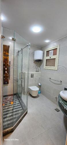a bathroom with a shower and a toilet and a sink at VIP Nile Tower in Cairo