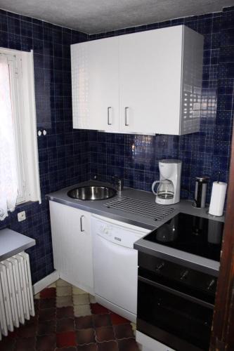 une cuisine avec un évier et un plan de travail dans l'établissement Chalet Ickory - 3 pièces 6 personnes 3 exposé Sud MAE-8564, à Valloire