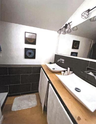 La salle de bains est pourvue d'un lavabo blanc et d'une douche. dans l'établissement Le cabanon planqué, à Bordeaux