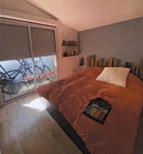 um quarto com uma cama grande e uma janela em Le cabanon planqué em Bordeaux