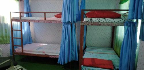 een kamer met 2 stapelbedden en blauwe gordijnen bij Quickshape/Quickshield Homestay in Naga