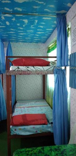 2 stapelbedden in een kamer met een blauw plafond bij Quickshape/Quickshield Homestay in Naga