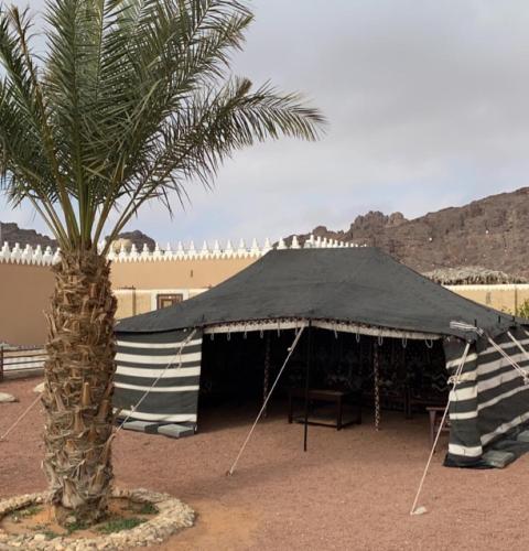 a tent with a palm tree in front of a building at جوهرة الرعيلة in Al Laqīţah