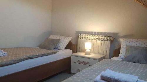 een slaapkamer met 2 bedden en een lamp op een nachtkastje bij Apartments with a parking space Slunj, Plitvice - 22111 in Slunj