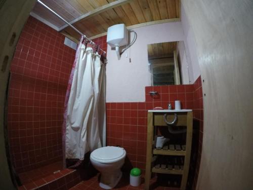 ein rot gefliestes Bad mit einem WC und einer Dusche in der Unterkunft CABAÑA LAS MORAS in San Clemente del Tuyú