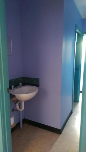a bathroom with a white sink in a blue wall at Anglesea Backpackers in Anglesea