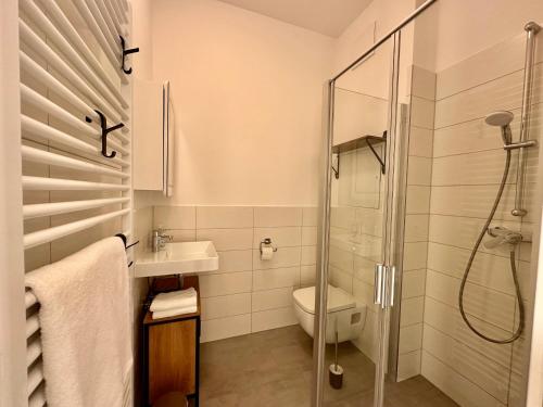 a bathroom with a shower and a toilet and a sink at Haus Concordia 2 Fischbrötchen in Thiessow
