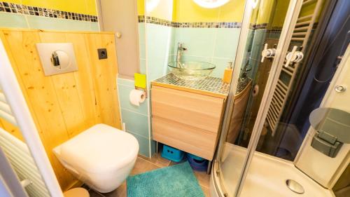 La petite salle de bains est pourvue d'une douche et de toilettes. dans l'établissement Résidence Thabor - 2 Pièces pour 4 Personnes 714, à Modane